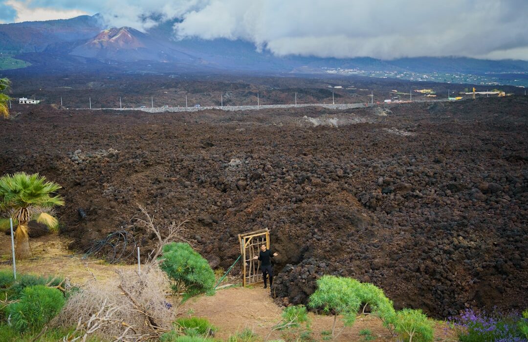 Mulching Mistakes: 7 Errors That Damage Your Plants
