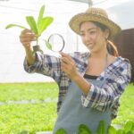 Natural Pest Control for the Organic Homestead Garden