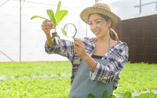 Natural Pest Control for the Organic Homestead Garden