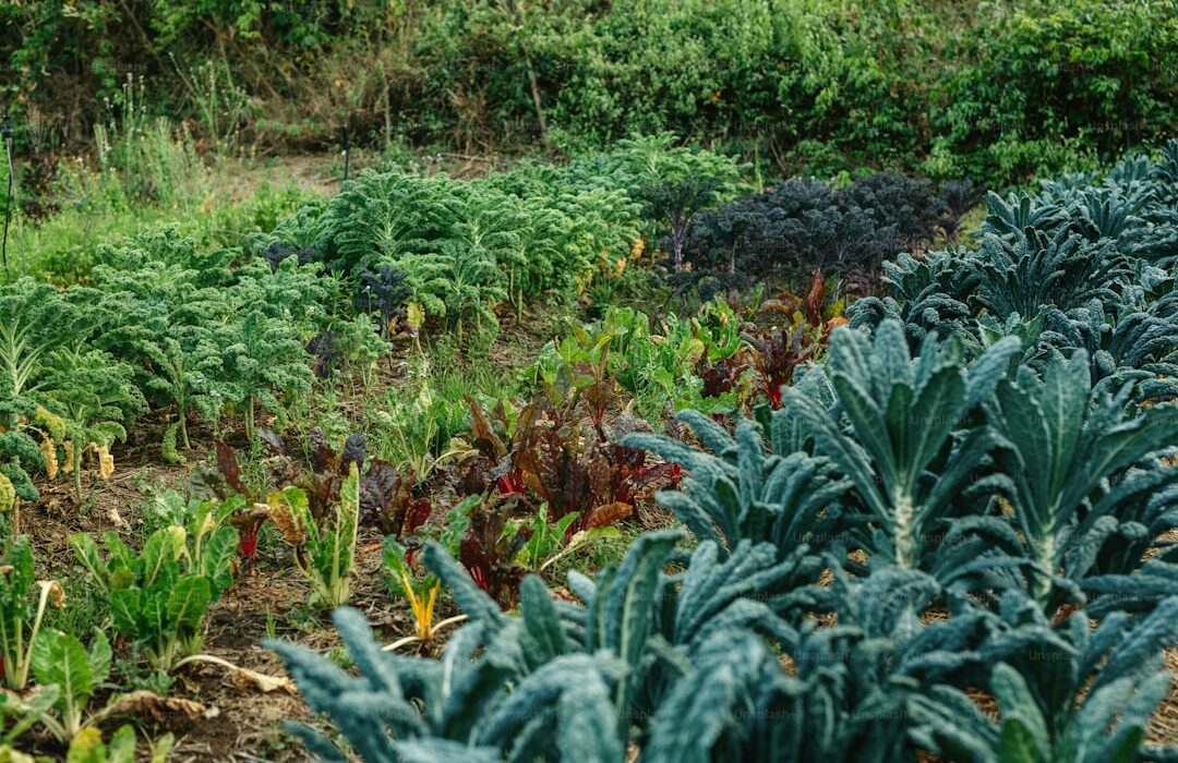 Natural Weed Control Methods: Keep Your Garden Weed-Free Organically