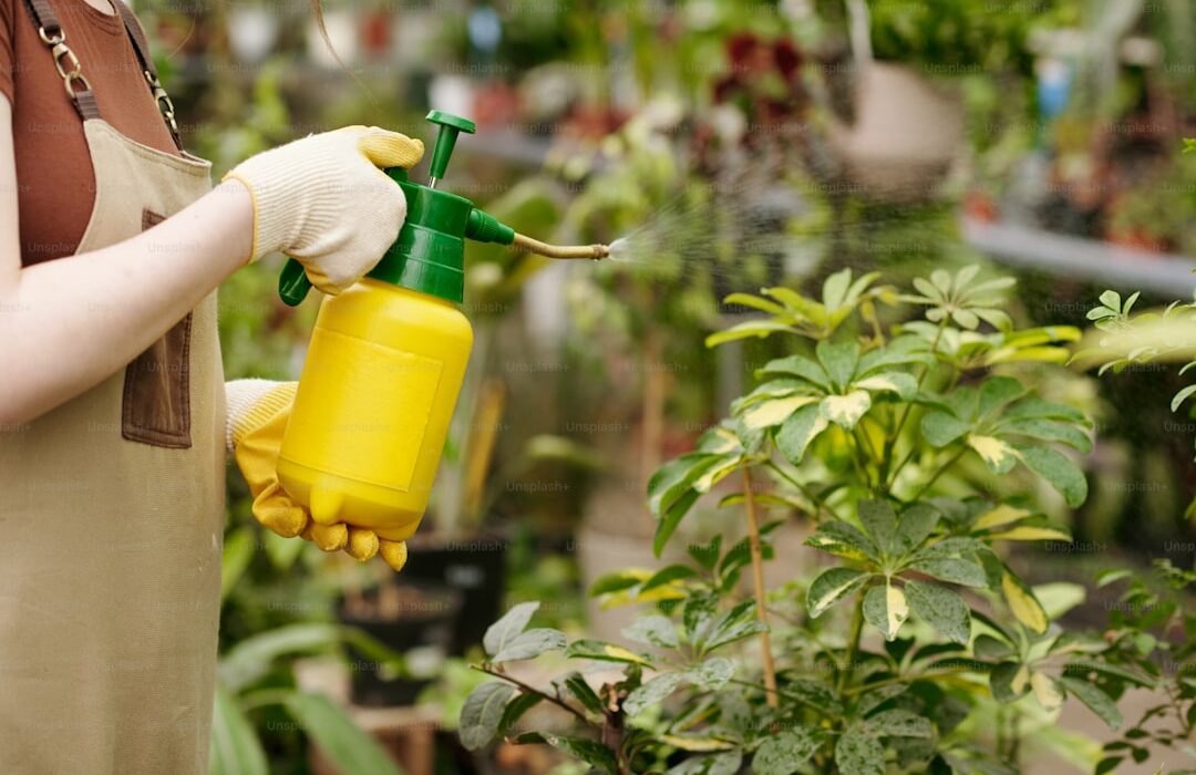 Neem Oil for Gardens: Complete Guide to Organic Pest and Disease Control