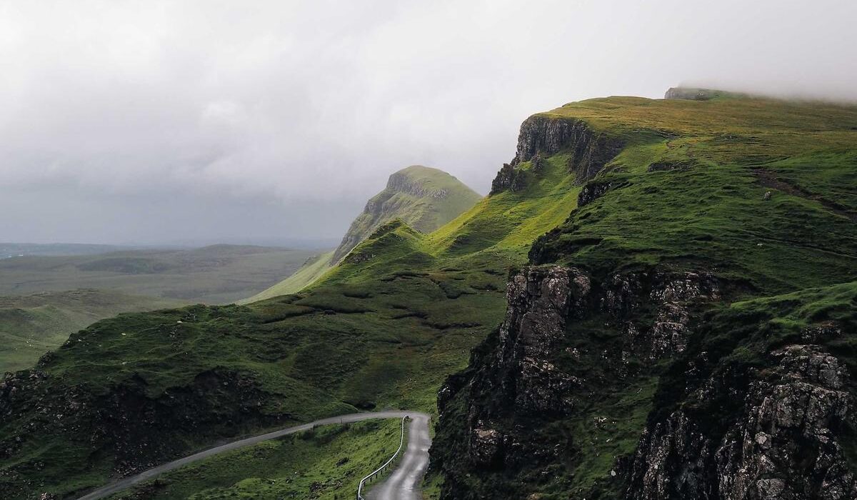 Neem Oil for Plants: The Ultimate Organic Pest Control Guide