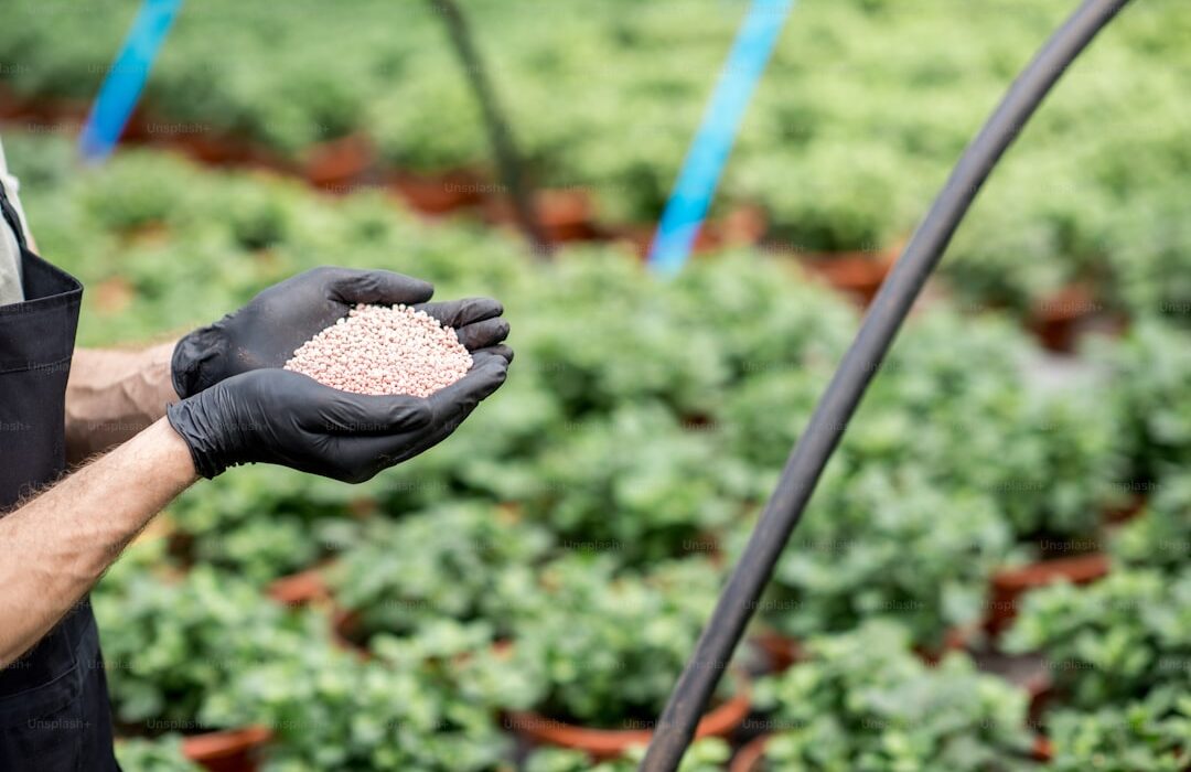 Nitrogen-Fixing Plants: How Legumes Feed Your Entire Garden