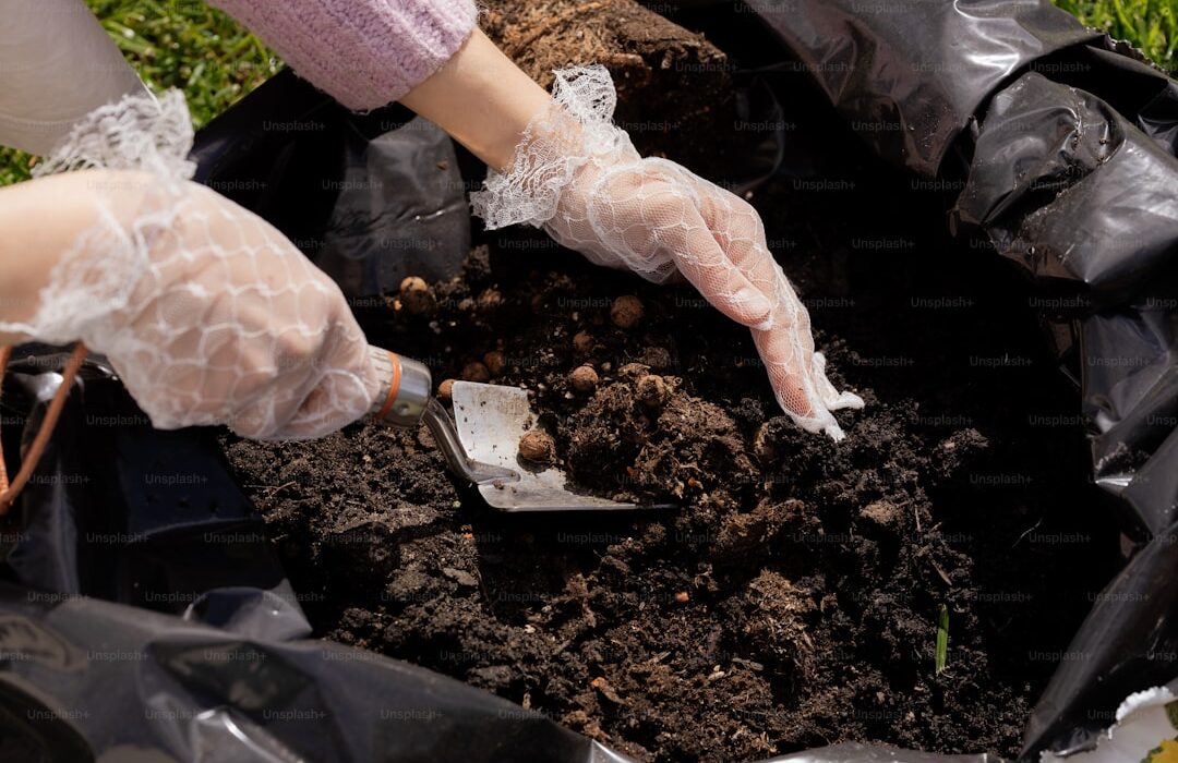 No-Dig Gardening Method: Build Soil Without Tilling