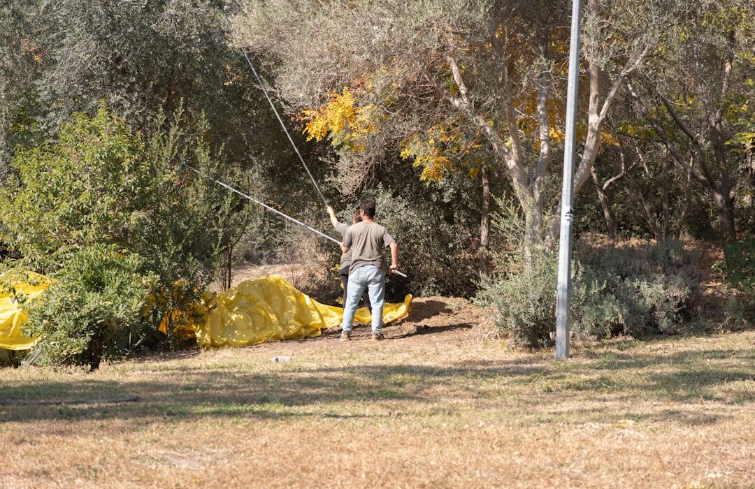 No-Dig Weed Control: How Sheet Mulching Eliminates Weeds