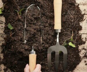 One-Handed Gardening Techniques and Tool Adaptations