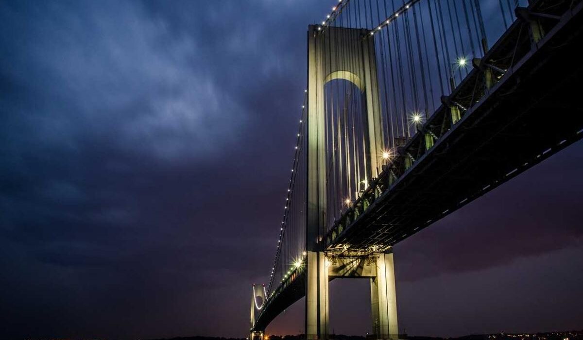 Organic Fungicide Options for Home Gardens: What Works Best