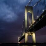 Organic Fungicide Options for Home Gardens: What Works Best