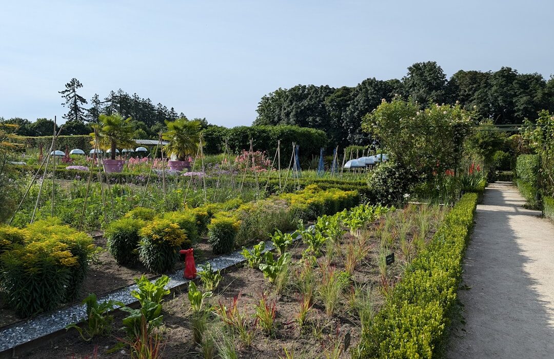 Polyculture vs Monoculture: Why Mixed Planting Outperforms Single Crops