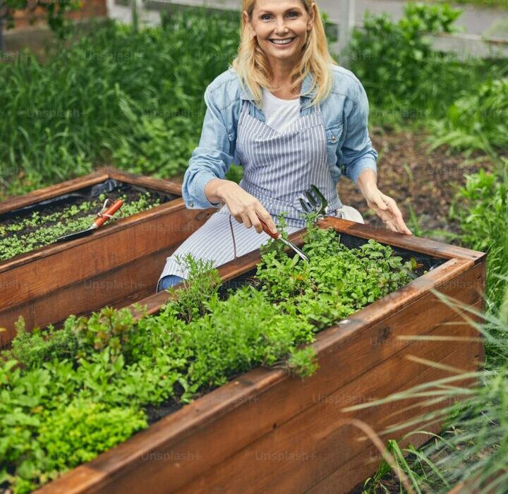 Raised Bed Gardening for Beginners: Everything You Need to Know