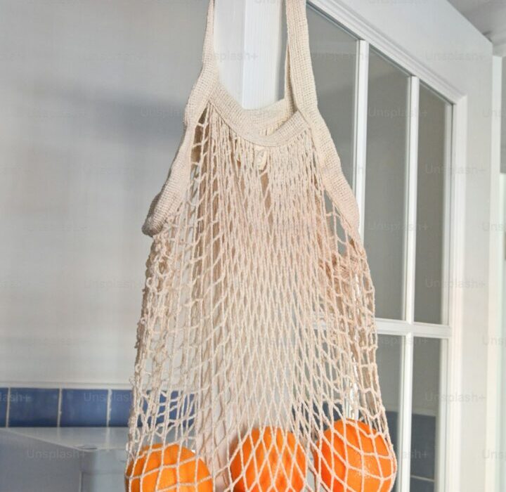 Raised Bed Pest Protection: Keeping Critters Out of Your Garden