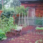 Raised Bed Vegetable Garden Layout: Plans for Every Size