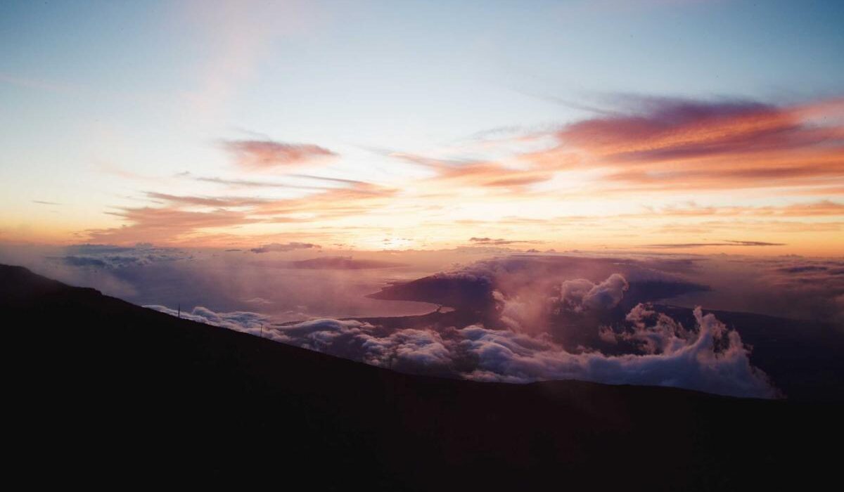 Rubber Mulch vs Organic Mulch: Pros and Cons Compared