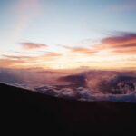 Rubber Mulch vs Organic Mulch: Pros and Cons Compared