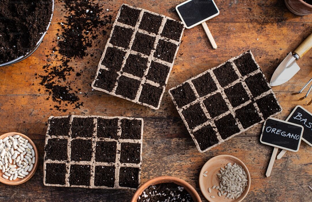 Seed Starting 101: A Complete Guide for Beginners