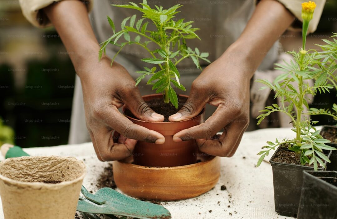 Seed Starting Mix: DIY Recipe vs Store Bought Options - gardening guide by Planters Realm