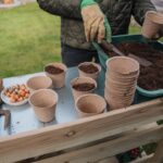 Seed Starting Mix vs Potting Soil: What to Use and When