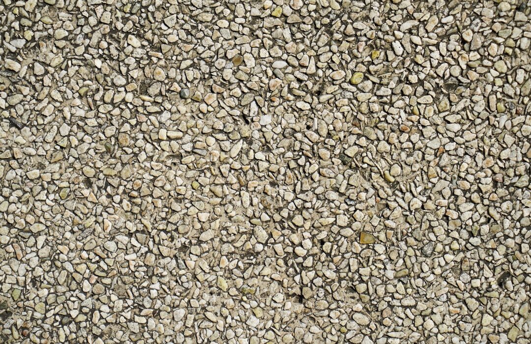 Slow-Release vs Quick-Release Fertilizers Compared