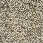 Slow-Release vs Quick-Release Fertilizers Compared