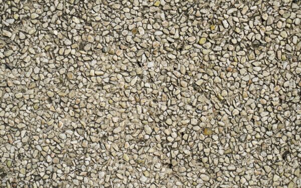 Slow-Release vs Quick-Release Fertilizers Compared