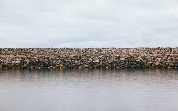 Small Space Gardening Ideas That Maximize Every Square Foot