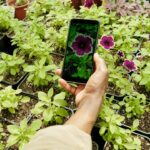 Smart Garden Technology for Disabled Gardeners