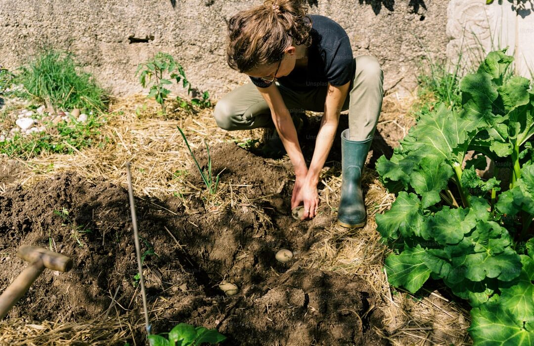 Soil pH: How to Test and Adjust for Optimal Plant Growth