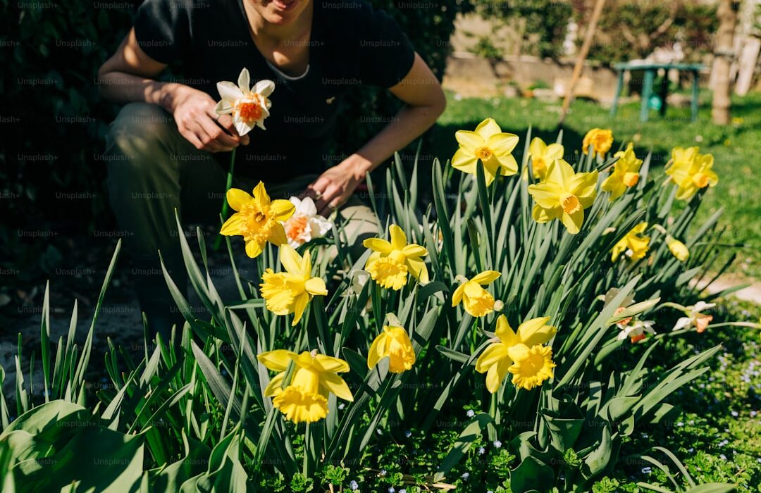 Spring Bulb Planting Guide: When, Where, and How Deep
