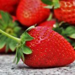 Fresh ripe strawberries growing in garden containers