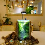 Tabletop Gardening Projects for Limited Mobility