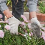 Therapeutic Gardening: Mental Health Benefits of Growing Plants