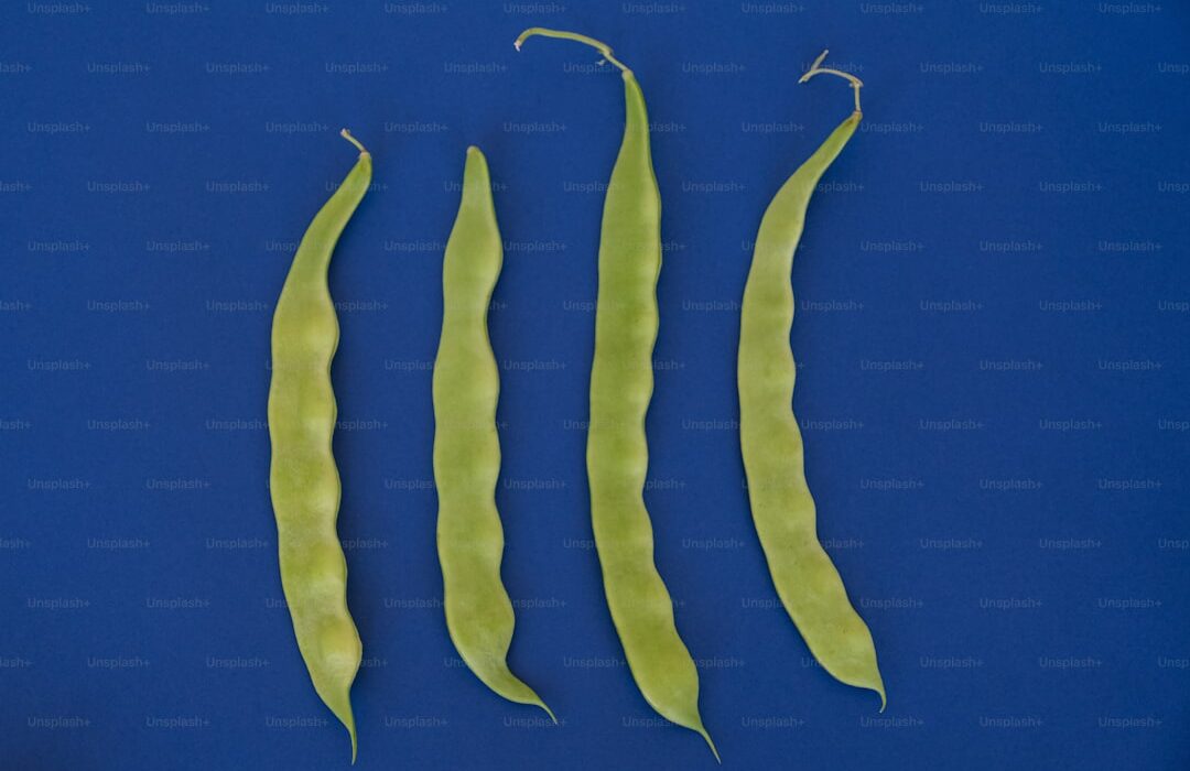 Three Sisters Garden: Corn, Beans, and Squash Planting Method