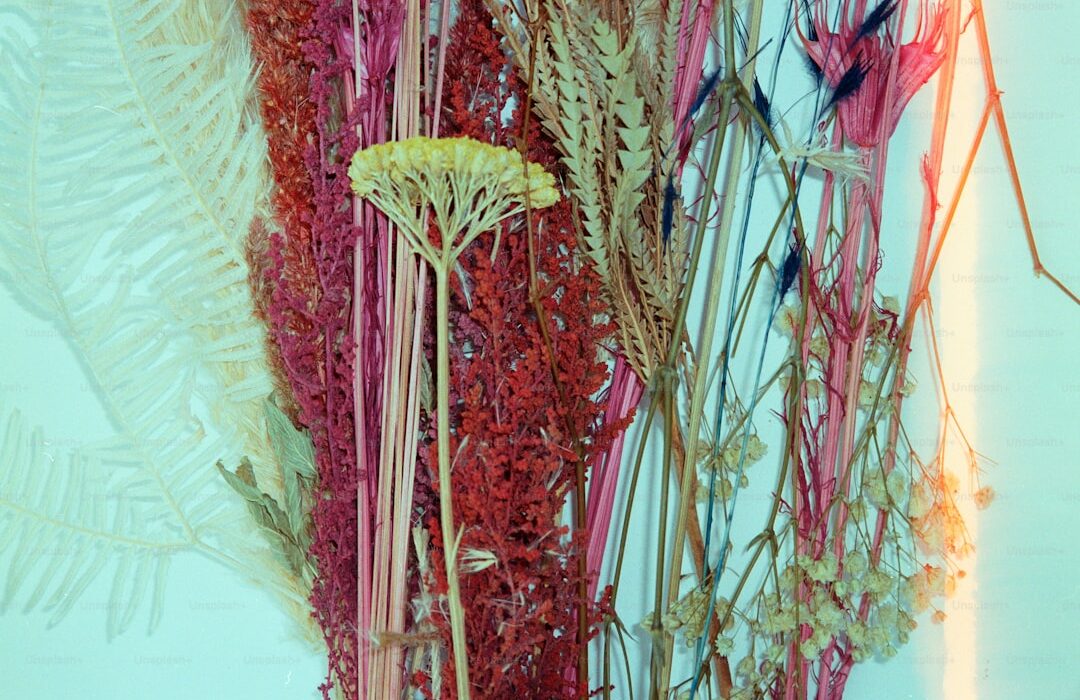 Verticillium Wilt: Why Plants Are Wilting and Dying