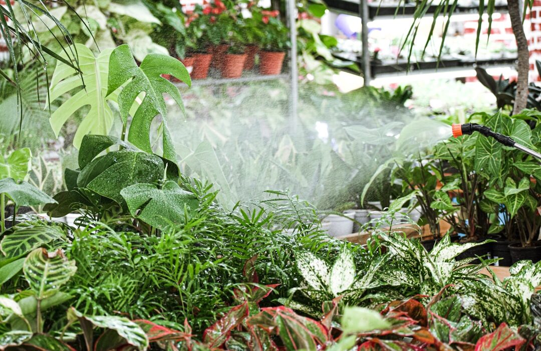 Water Propagation: Rooting Cuttings Step by Step