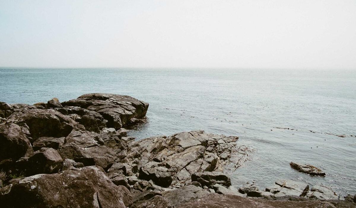 Water-Wise Gardening: Grow More Food with Less Water