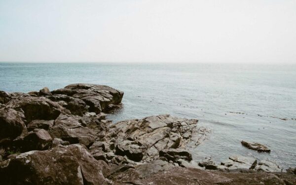 Water-Wise Gardening: Grow More Food with Less Water