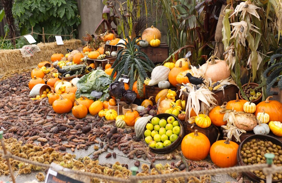 What to Plant in Your Fall Vegetable Garden