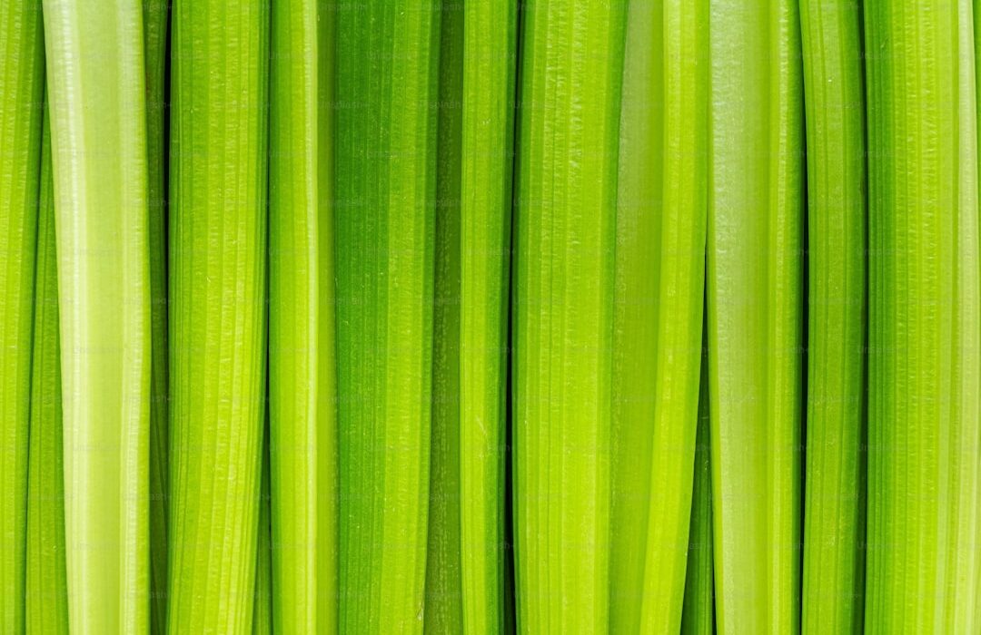 Wheatgrass Growing Guide: From Seed to Juicing