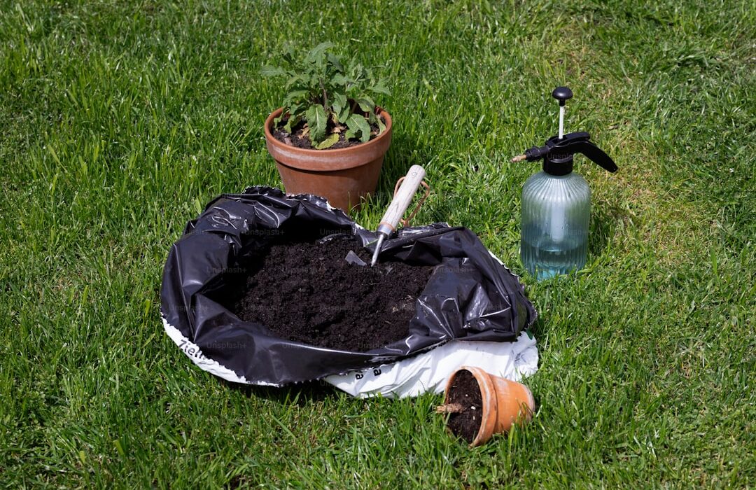 When and How to Fertilize Your Garden: A Seasonal Guide