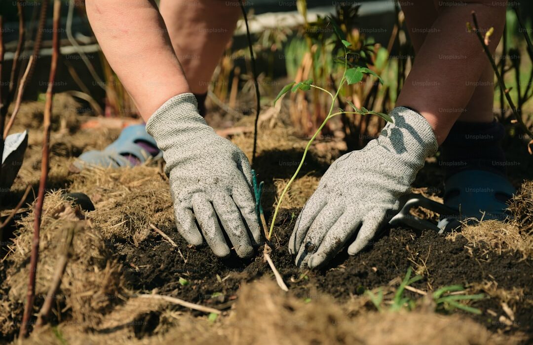 When to Start Seeds: A Month-by-Month Planting Calendar - gardening guide by Planters Realm