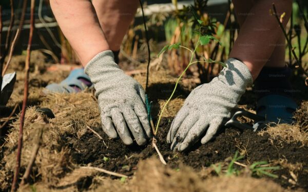 When to Start Seeds: A Month-by-Month Planting Calendar - gardening guide by Planters Realm