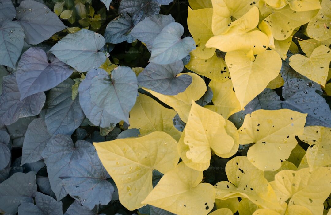 Why Your Houseplants Are Dying: 10 Common Problems and Fixes