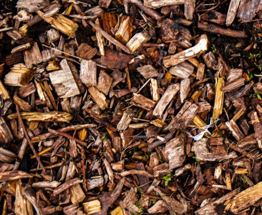Wood Chip Mulch: The Best Free Mulch for Your Garden