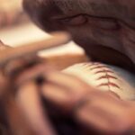 Worm Castings: The Best Organic Fertilizer You Can Make