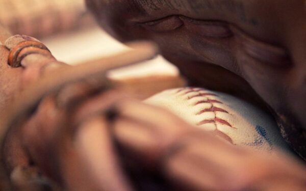 Worm Castings: The Best Organic Fertilizer You Can Make