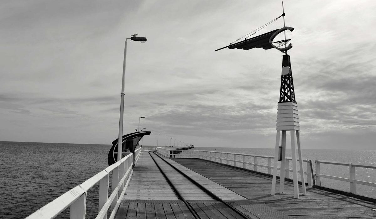 Worm Composting Indoors: Vermicomposting for Apartment Gardeners
