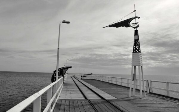 Worm Composting Indoors: Vermicomposting for Apartment Gardeners
