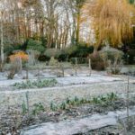 Year-Round Raised Bed Growing: Extend Your Season with Cold Frames