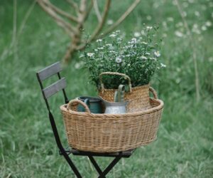 Best Compost Bins and Tumblers: Which Composter Is Right for You?