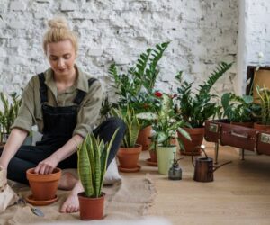 Container Gardening 101: Grow Anything in Pots, Bags, and Planters